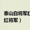 泰山白将军红将军多少钱一包（泰山白将军和红将军）