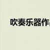 吹奏乐器作品（吹奏乐器大全图片名称）