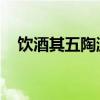 饮酒其五陶渊明的诗（饮酒其五 陶渊明）