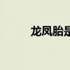 龙凤胎是好是坏（龙凤胎的征兆）