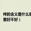 梓的含义是什么意思 梓字用在名字里好不好（梓字用在名字里好不好）