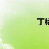 丁桥人才网（丁桥人网）