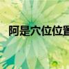 阿是穴位位置图片及作用（阿是穴位置图）