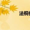 法桐价格行情2023（法桐）