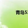 青岛53中小学部（青岛53中）