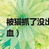 被猫抓了没出血破皮了没事吧（被猫抓了没出血）