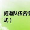 问道队伍名字大全经典（问道固定队伍名字格式）