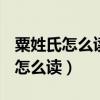 粟姓氏怎么读li还是su饭后多久吃饭（粟姓氏怎么读）