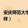 安庆师范大学怎么样知乎（安庆师范大学怎么样）