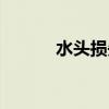 水头损失什么意思（水头损失）