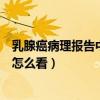 乳腺癌病理报告中的免疫组化怎么看（乳腺癌免疫组化报告怎么看）