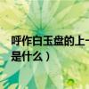 呼作白玉盘的上一句是什么几年级的（呼作白玉盘的上一句是什么）