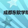 成都东软学院专业分（成都东软学院专业）