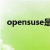 opensuse是什么系统（opensuse 12 1）