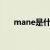mane是什么意思（cane是什么意思）