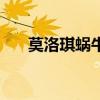 莫洛琪蜗牛霜怎么样（莫洛琪蜗牛霜）