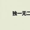 独一无二 日文（独一无二日文版）