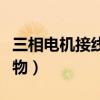 三相电机接线图实物图解(三相电机接线图实物) 三相电机接线图实物图解(三相电机接线图实物)