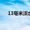 13毫米淡水珍珠价格（淡水珍珠价格）
