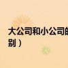 大公司和小公司的区别英语阅读理解（大公司和小公司的区别）