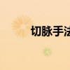 切脉手法有哪几种（切脉方法图）
