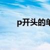 p开头的单词加翻译（p开头的单词）