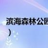 滨海森林公园门票多少钱一张（滨海森林公园）