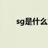 sg是什么意思篮球（sg是什么意思）