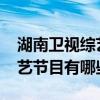 湖南卫视综艺节目有哪些2021（湖南卫视综艺节目有哪些）