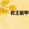 君王板甲套装属性（君王板甲套装）