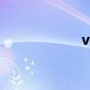 vitd维生素D（vit）