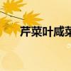 芹菜叶咸菜的做法家常(芹菜叶咸菜) 芹菜叶咸菜的做法家常(芹菜叶咸菜)