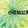 小花仙公用号（小花仙送号公开密码）