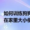 如何训练狗狗不在家大小便（怎么训练狗狗不在家里大小便）