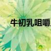 牛初乳咀嚼片适合人群（牛初乳咀嚼片）