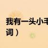 我有一头小毛驴歌词改编（我有一头小毛驴歌词）