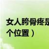 女人胯骨疼是什么原因引起的（女性胯骨在哪个位置）