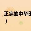 正宗的中华田园犬图片（正宗中华田园犬图片）