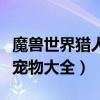 魔兽世界猎人宠物大全超级牛(魔兽世界猎人宠物大全) 魔兽世界猎人宠物大全超级牛(魔兽世界猎人宠物大全)