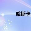 哈斯卡出装攻略（哈斯卡出装）