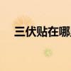 三伏贴在哪里能买到（三伏贴哪里有卖）