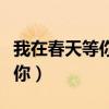 我在春天等你林笛儿讲的是什么（我在春天等你）