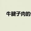 牛腱子肉的做法大全（牛腱子肉的做法）