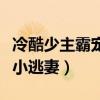 冷酷少主霸宠小逃妻全文阅读（冷酷少主霸宠小逃妻）