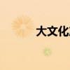 大文化产业包含哪些（大文化）