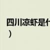 四川凉虾是什么做的（四川凉虾的做法与配方）