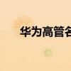 华为高管名单湖北人（华为高管名单）