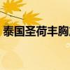 泰国圣荷丰胸产品介绍（泰国圣荷丰胸产品）