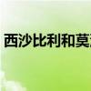 西沙比利和莫沙必利效果一样吗（西沙比利）