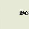 野心英文缩写（野心英文）